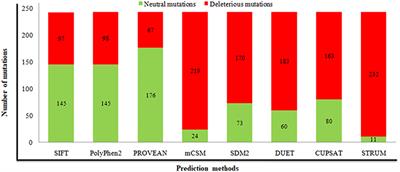 Structural Analysis and Conformational Dynamics of STN1 Gene Mutations Involved in Coat Plus Syndrome